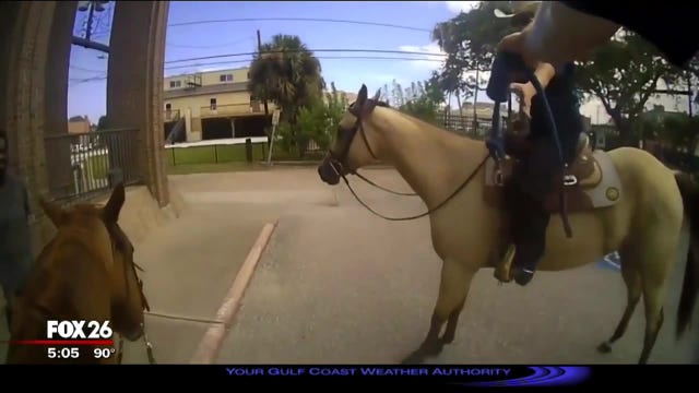 "This is going to look so bad": Galveston PD releases body camera video of controversial arrest