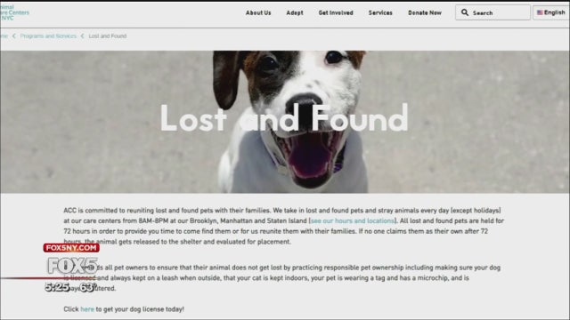 Animal Care Centers of NYC help reunite lost pets with their owners