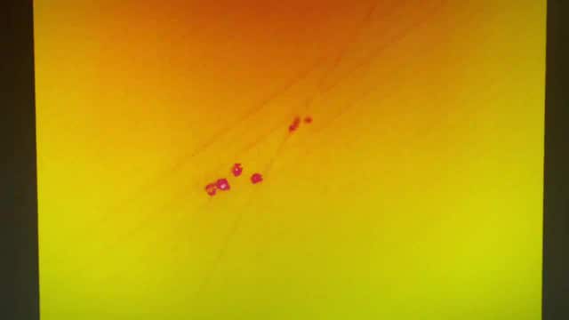 Thermal drone video shows moment missing Becker, Minnesota boy, dog were found