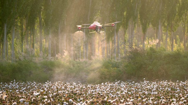 Autonomous drone fleet defoliates China crops