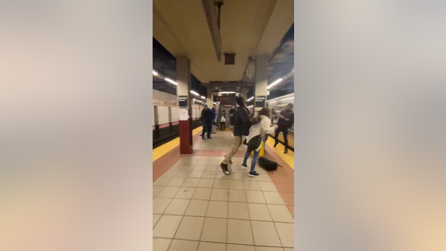NYPD: Serial subway offender arrested for shoving woman into subway car