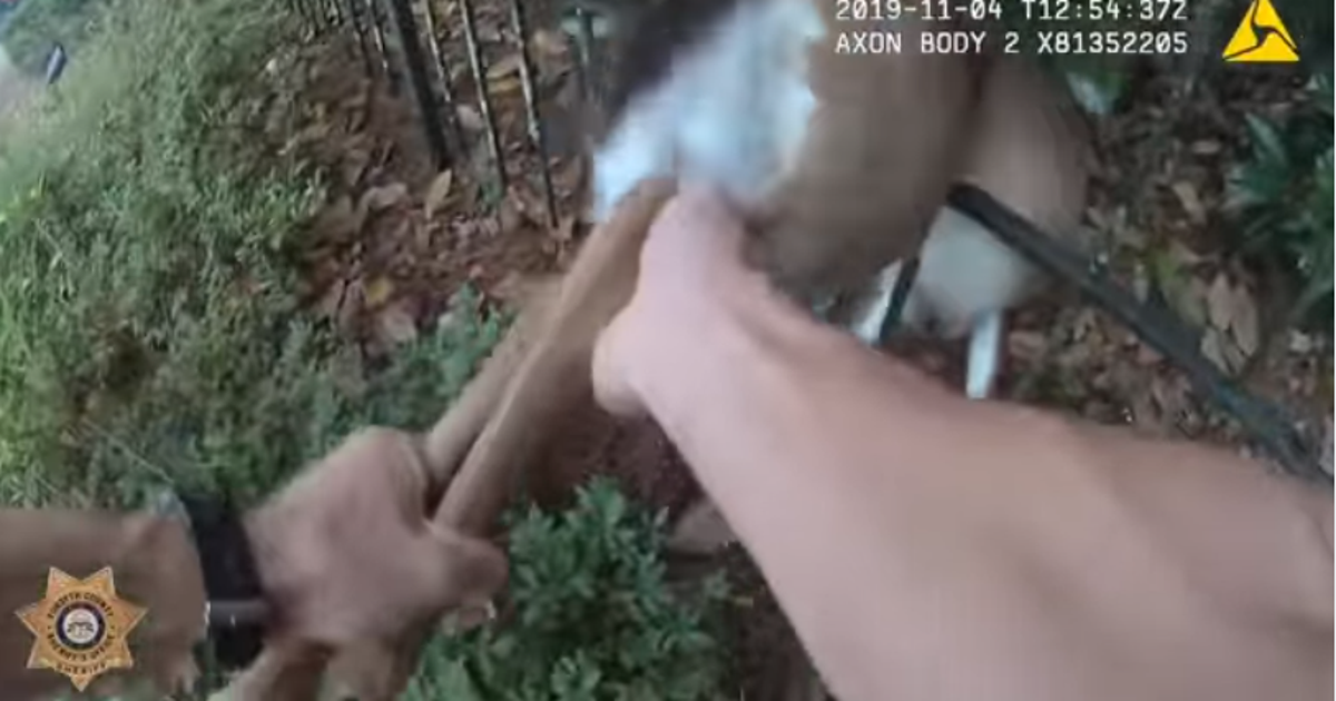 Georgia deputy frees young deer trapped in fence | FOX 5 New York