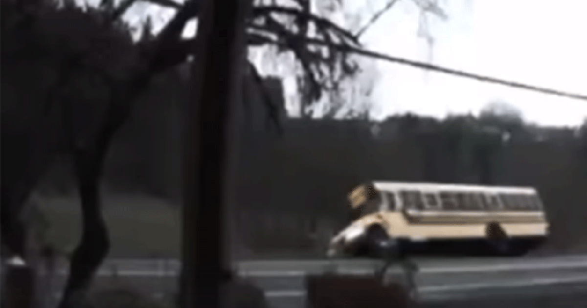 Impaired school bus driver crashes with 10 children aboard: Cops | FOX ...