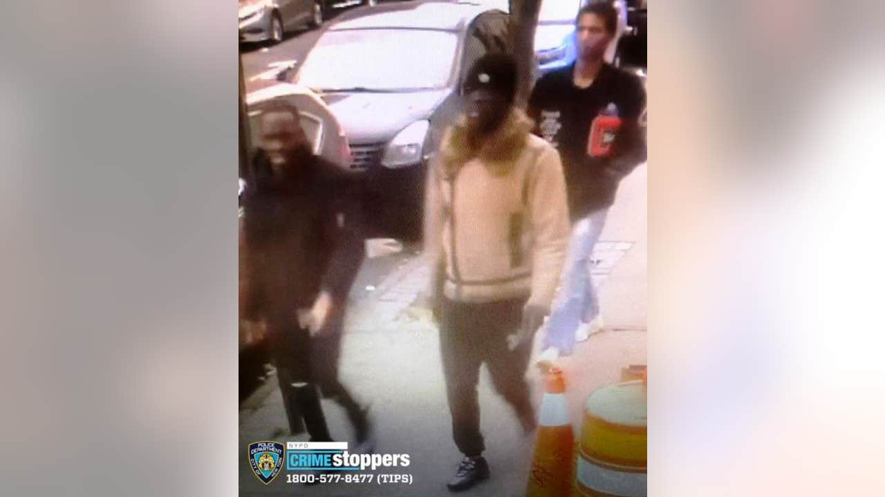 Assortment mineral Funnel web spider Cops hunt gunman, 3 others in connection with wild Bronx street shooting Assortment mineral Funnel web spider Cops hunt gunman, 3 others in connection with wild Bronx street shooting