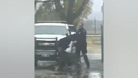 Video: Police dog takes down man who punched cop