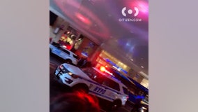 With schools out early, 'mayhem' breaks out at mall in Queens