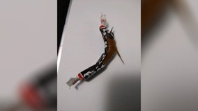 Police warn parents to check Halloween candy after sewing needle found inside Tootsie Roll given to child