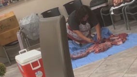 NC college student says deer was being butchered in nail salon