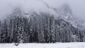 Winter wonderland: Yosemite National Park blanketed in snow