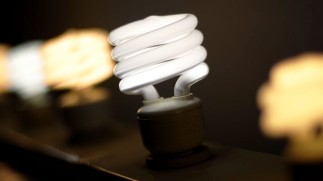 Man says spiral light bulb filled with ladybugs almost burned down house