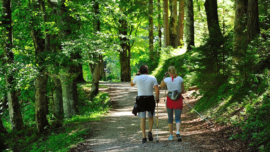 Hikers in a park, Salurn, Trentino-Alto Adige, Italy.