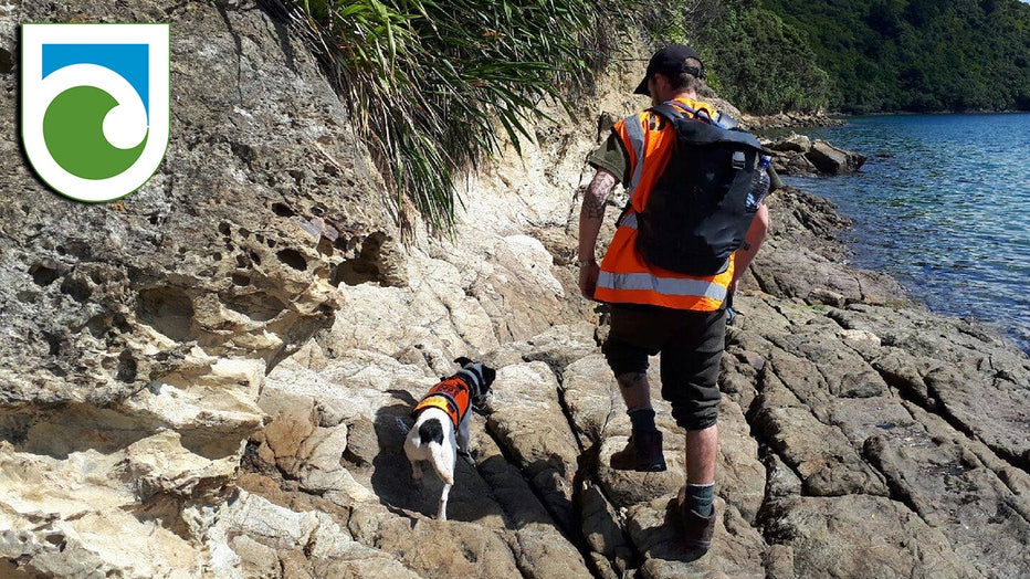 Dog and handler on an island