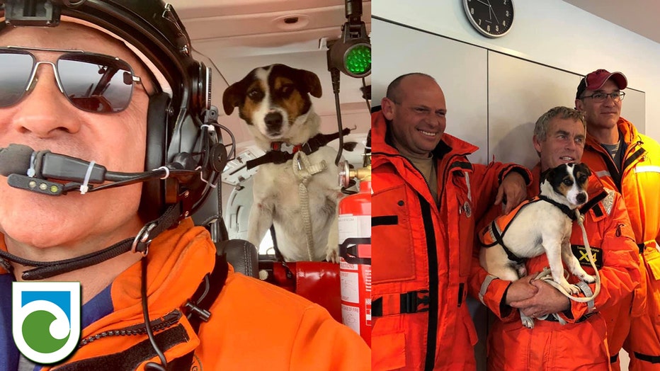 Dog and helicopter crew