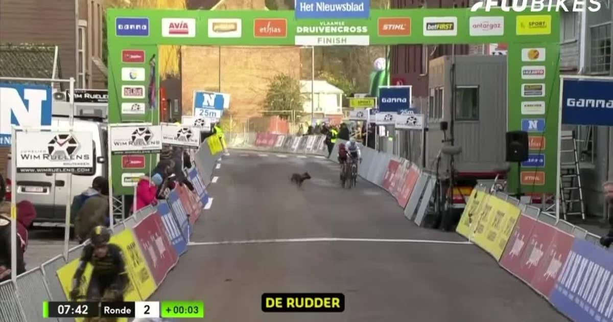 Dog chases elite cyclists during race | FOX 5 New York