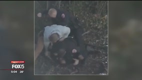 Calls for investigation into video of arrest on Long Island