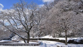 Brooklyn Botanic Garden is free on winter weekdays