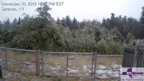 Time-lapse video: Trees slump under freezing rain