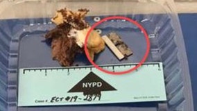 NYC Police Commissioner: Razor blade found in officer's sandwich was an accident