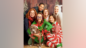 Animal shelter caregivers dress up as elves to help senior pit bull find a home