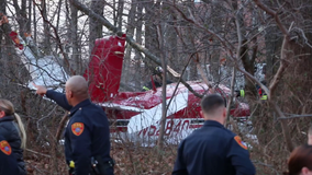 Officials: Small plane crash injures pilot on Long Island