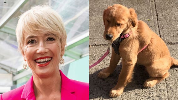 Emma Thompson foresees people eating pets for 'protein' due to 'climate crisis'