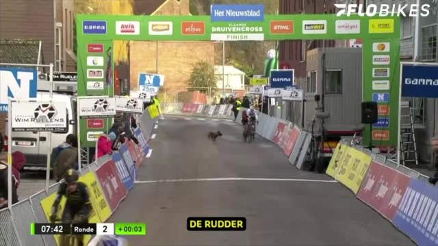 Dog chases elite cyclists during race