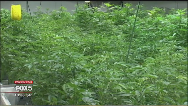 Marijuana referendum will be on New Jersey ballot in 2020