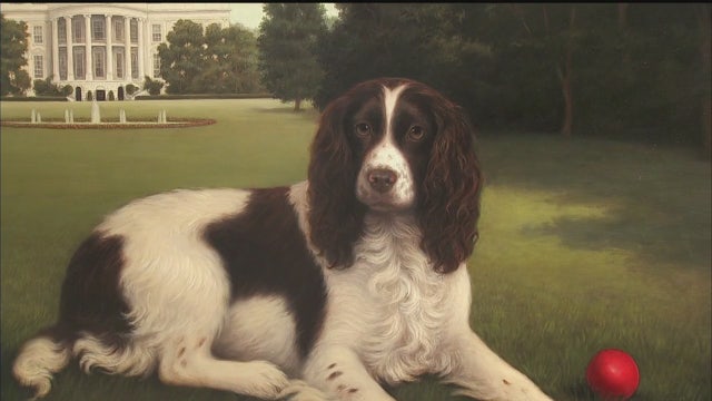 Inside the Museum of the Dog: Millie on the South Lawn