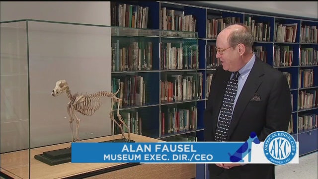 Inside the Museum of the Dog: Belgrave Joe