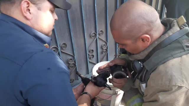 Firefighters revive tiny dog with oxygen mask after house fire
