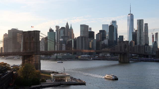 NYC set to require 'bird-friendly' glass on new construction