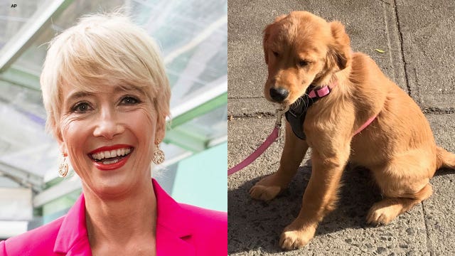 Emma Thompson foresees people eating pets for 'protein' due to 'climate crisis'