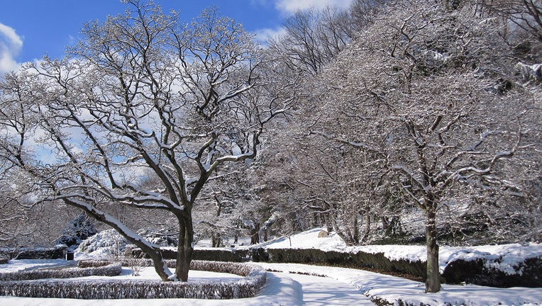 Snow-covered trees and paths at the Brooklyn Botanic Garden