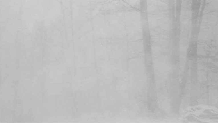 Whiteout conditions during a snow squall