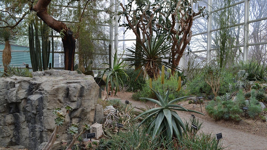 A look inside the Brooklyn Botanic Garden
