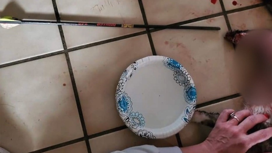 An arrow removed from a cat
