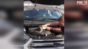 Cops save a terrified cat stuck in a car's engine block