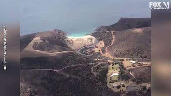 VIDEO: Brushfire devastation on Australia's Kangaroo Island