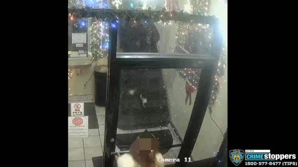 NYPD searching for suspect in Harlem shooting