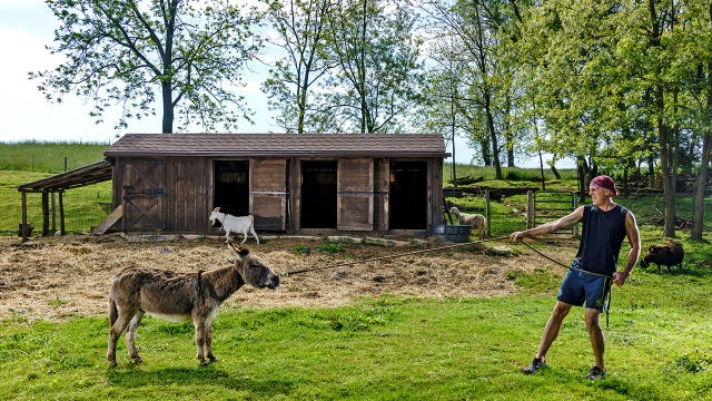 Running with a donkey opened Christopher McDougall's eyes about partnerships with animals