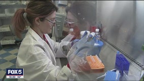 Scientists at a New York lab are working on coronavirus treatments