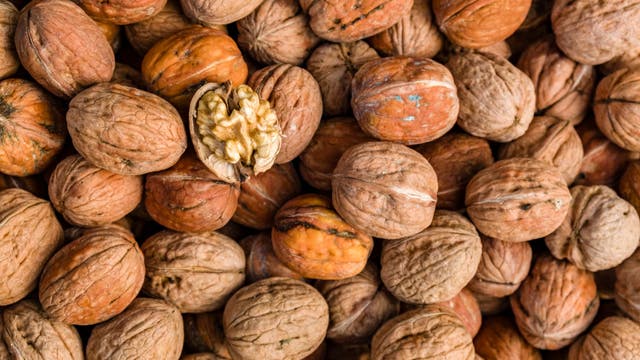 Study: Eating walnuts can slow cognitive decline