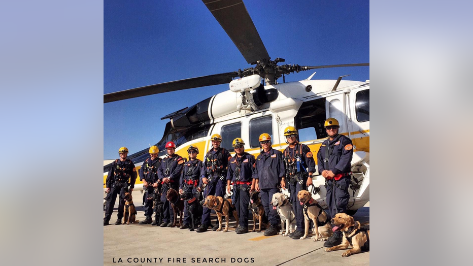 LACOFD-Search-Dogs_1.png
