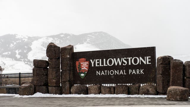 Appeals grow to close US national parks during pandemic