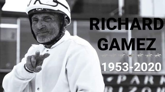 Jockey dies after fall from horse during race