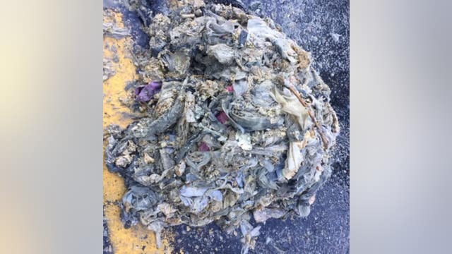 Don't flush paper towels, flushable wipes down the toilet, public works officials urge