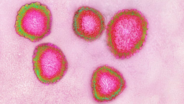 The human coronavirus is shown in a file image made from a transmission electron microscopy view.