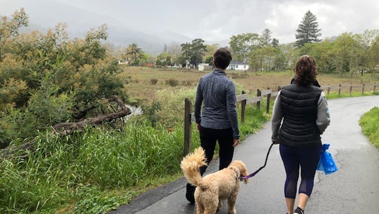 hiking in Marin County