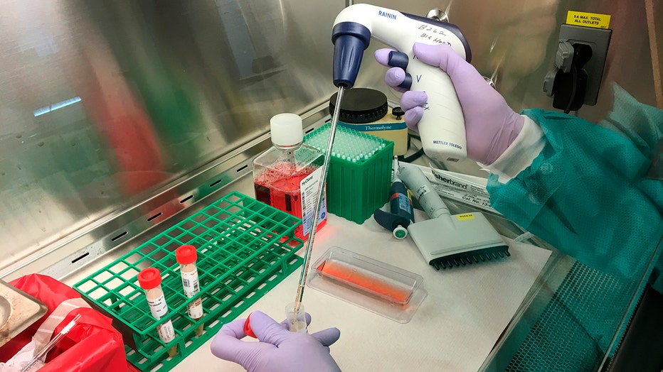 demonstration of the equipment and procedures used to test for novel coronavirus