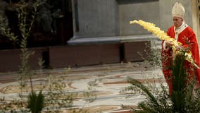 Pope Francis celebrates Palm Sunday mass without public audience